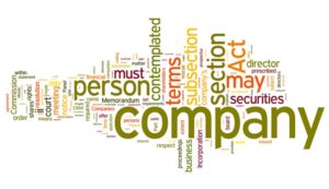 Read more about the article Different Types of Companies in India 2023