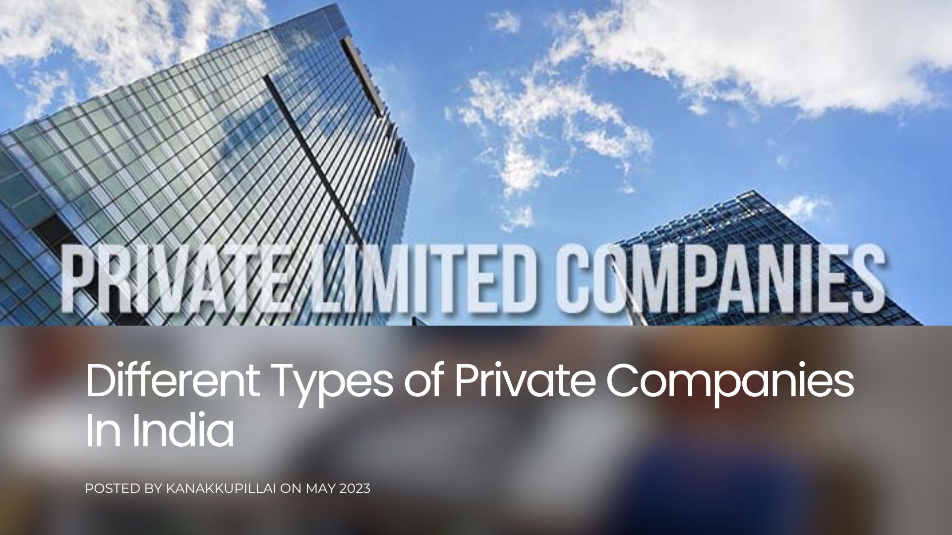 Different Types of Private Companies in India