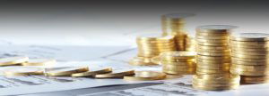 What is Authorized Capital and Paid-Up Capital in Balance sheet of a Company