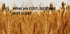 What are CGST, IGST and SGST in GST and How they effect