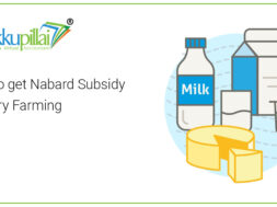How to get Nabard Subsidy for Dairy Farming