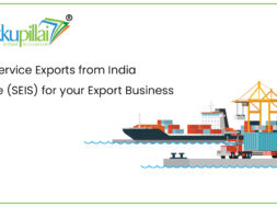 Using Service Exports from India Scheme (SEIS) for your Export Business