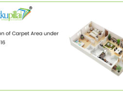 Definition-of-Carpet-Area-under