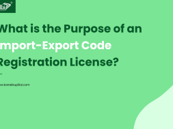 What is the Purpose of an Import-Export Code Registration License