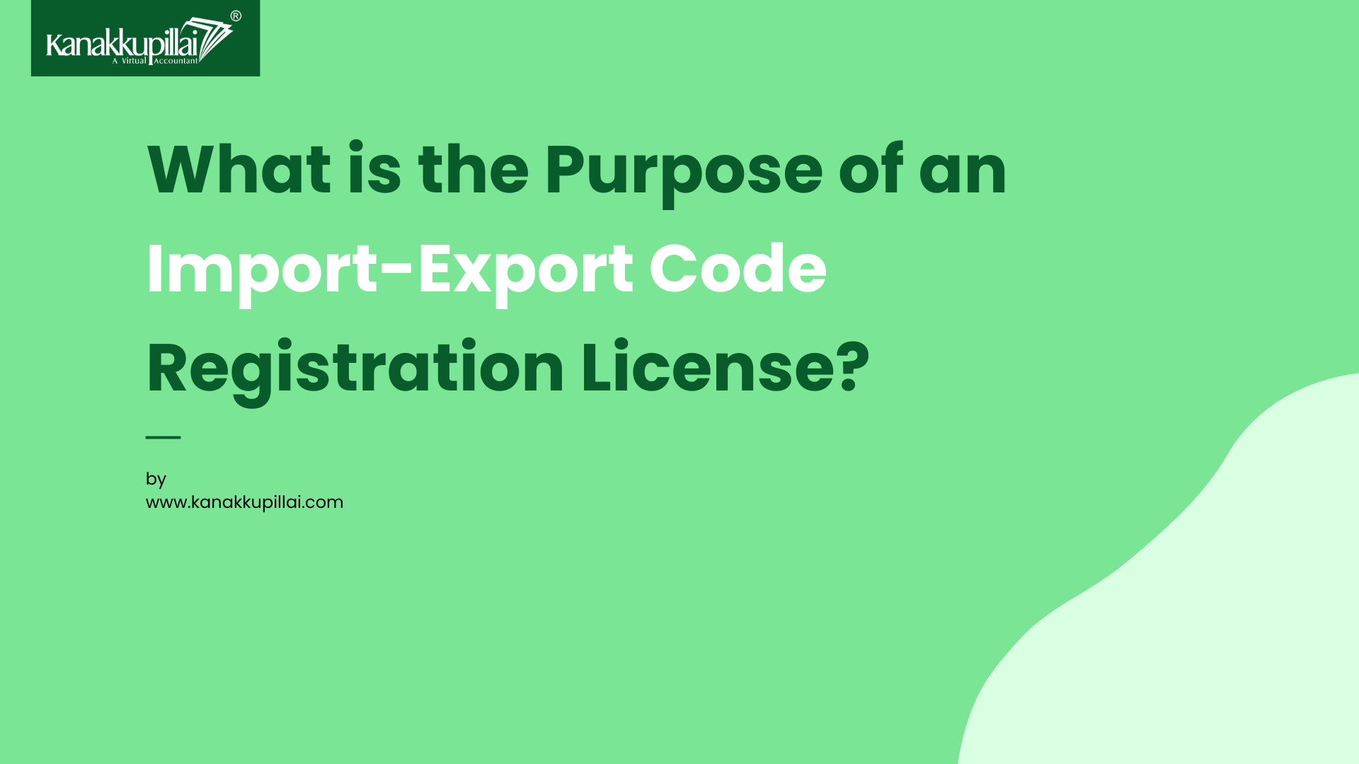 What is the Purpose of an Import-Export Code Registration License?