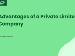 Advantages of Pvt Ltd company