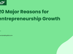 20 Major Reasons for Entrepreneurship Growth