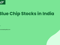 Blue Chip Stocks in India