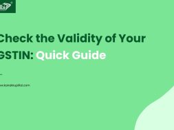 Check the Validity of Your GSTIN
