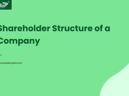 Shareholder Structure of a Company