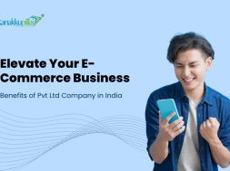 Elevate Your E-commerce Business Benefits of Private Limited Company in India