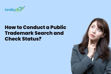 View of How to Conduct a Public Trademark Search and Check Status?