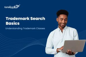Read more about the article Trademark Search Basics: Understanding Trademark Classes