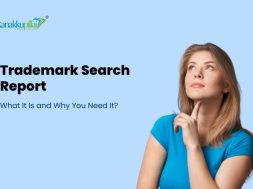 What is Trademark Search Report