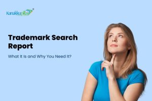 Read more about the article Trademark Search Report: What It Is and Why You Need It?