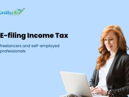 E-filing income tax returns for freelancers and self-employed professionals