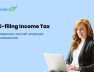E-filing income tax returns for freelancers and self-employed professionals