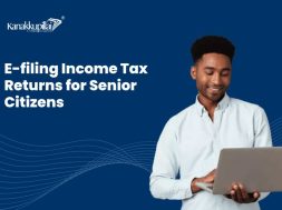 E-filing income tax returns for senior citizens