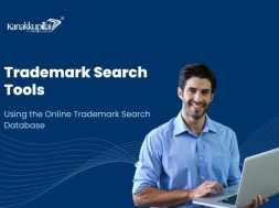 Trademark Search Tools