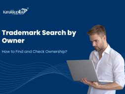 Trademark Search by Owner – How to Find and Check Ownership