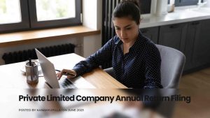 Read more about the article Guide to Private Limited Company Annual Return Filing