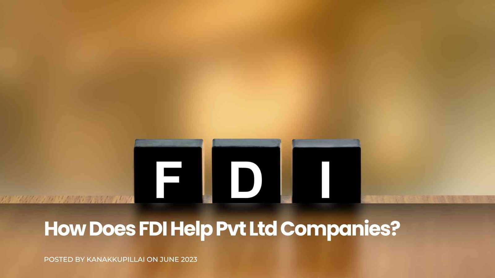 You are currently viewing How Does FDI Help Private Limited Companies?