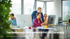 Read more about the article Top Reasons to Incorporate a Private Limited Company