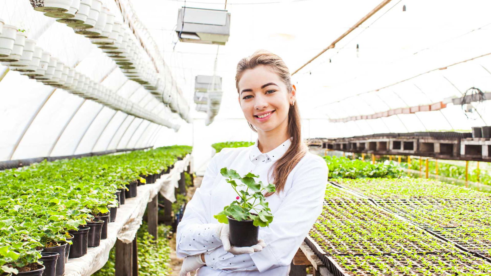 Read more about the article Agricultural Renaissance: Producer Companies Are Changing the Game in India