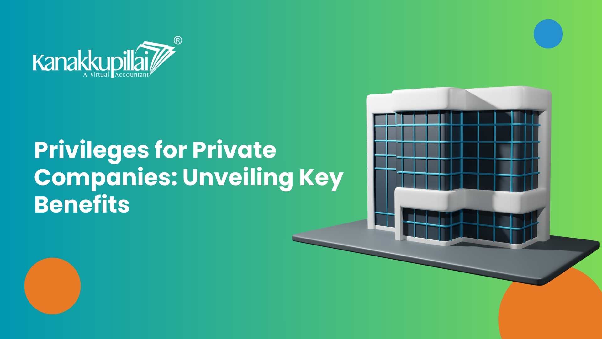 Read more about the article Unveiling the Key Privileges Available to Private Companies