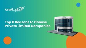 Read more about the article Why Private Limited Companies Are the Top Choice: 11 Reasons to Solve Entrepreneur’s Dilemma