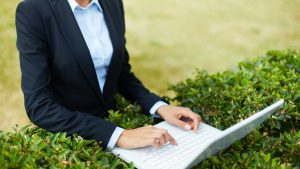 Read more about the article Bhoomi Online Portal: Transforming Karnataka’s Land Records Management