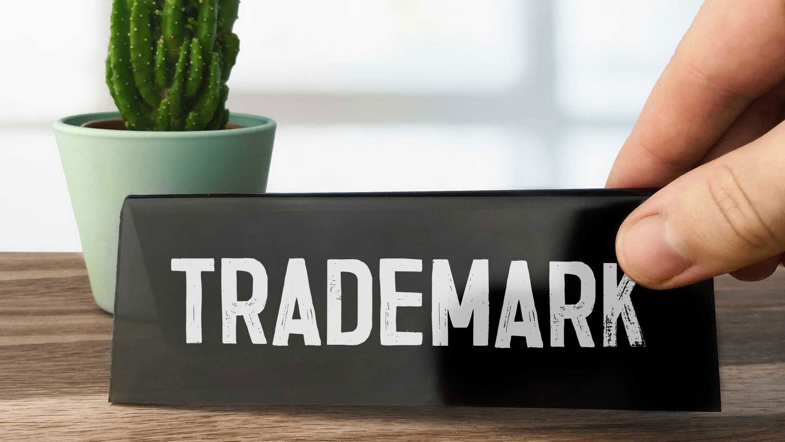 You are currently viewing Can a Sole Proprietorship Have a Trademark?