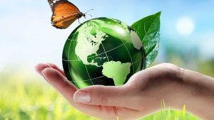 Read more about the article Sustainable Startups: Eco-Friendly Business Ideas for 2024