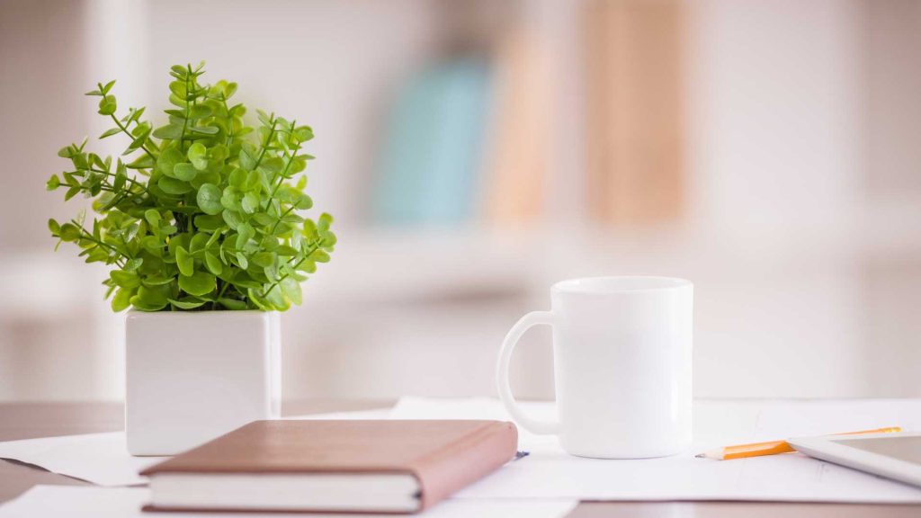 Starting a Paper Cup Manufacturing Business