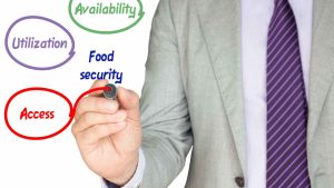 Read more about the article Food Security Card in Telangana: A Guide to Applying and Downloading Online