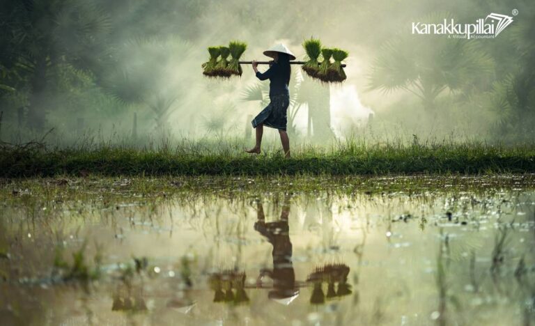 Rythu Bandhu Scheme for Telangana Farmers