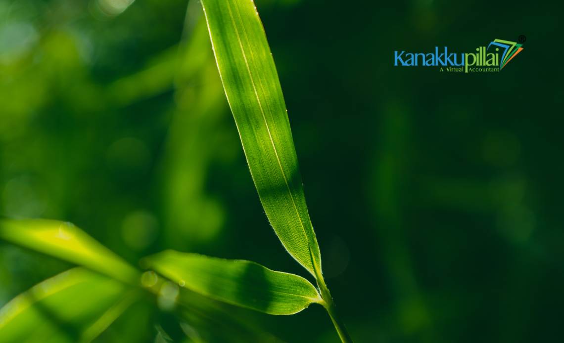 National Bamboo Mission Scheme