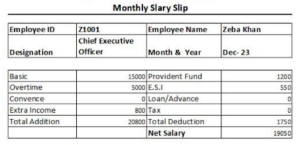 payslip